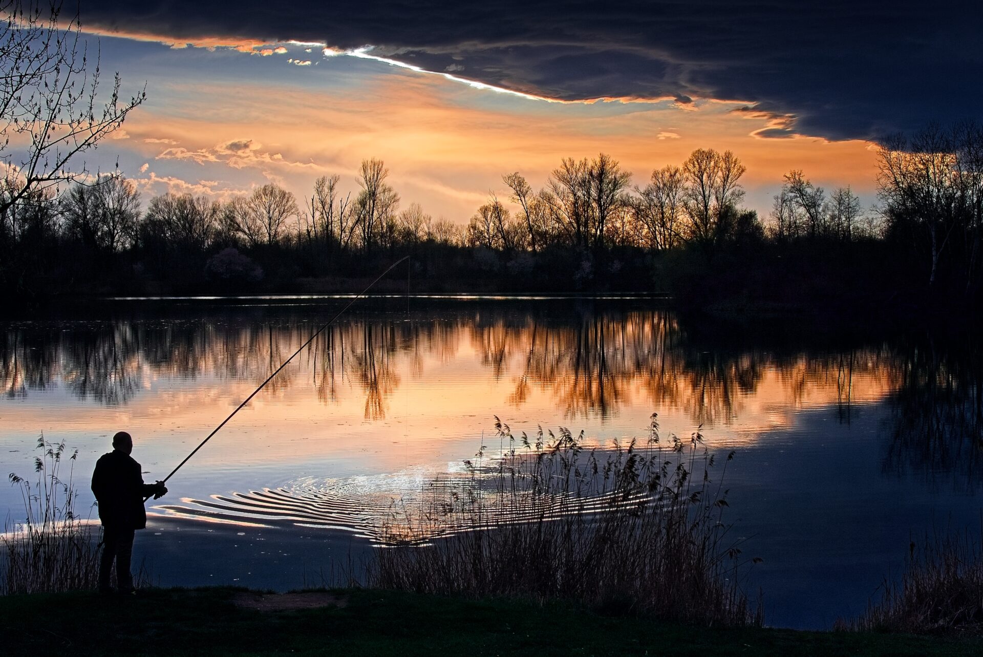Moments of Peace