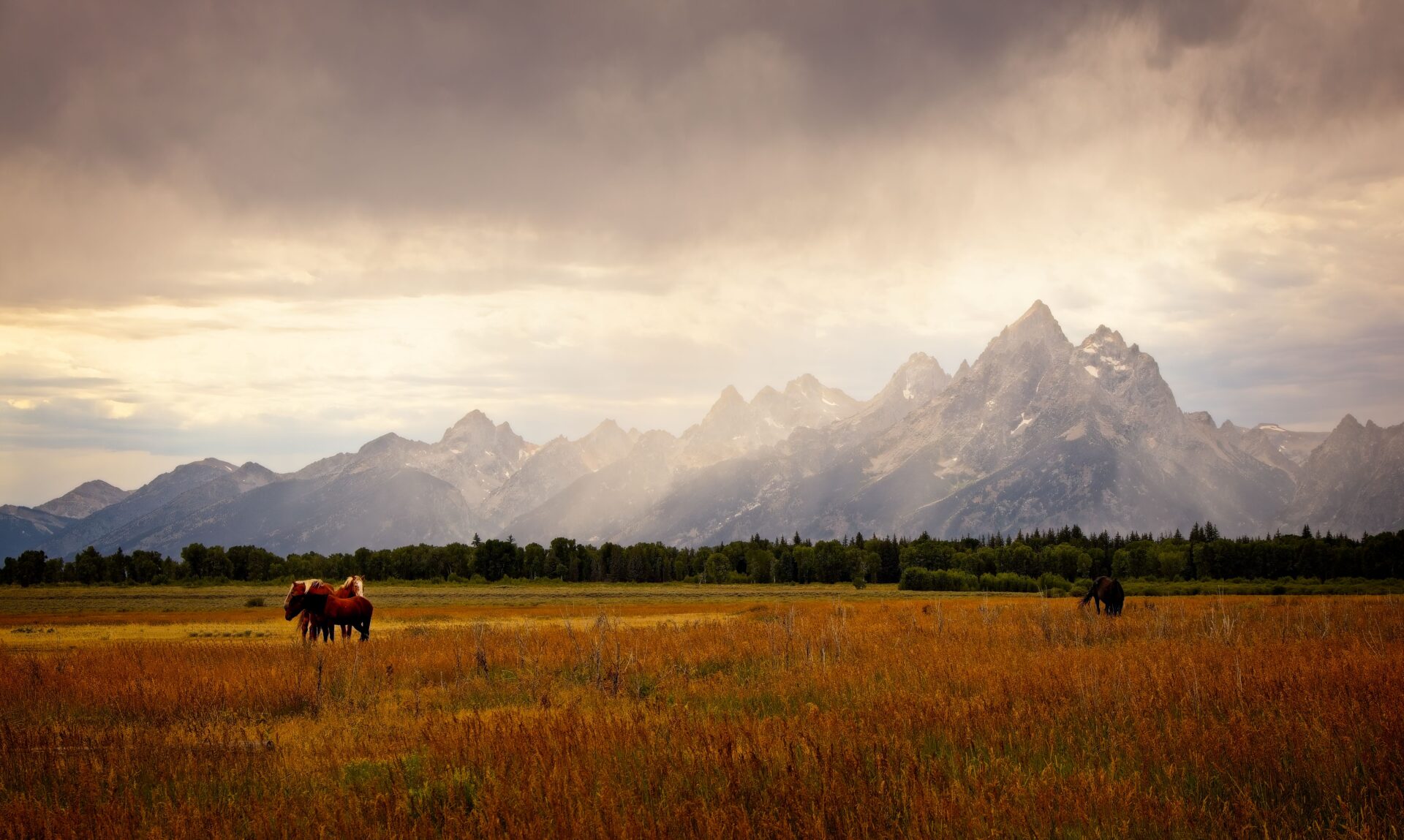 Majestic Tetons