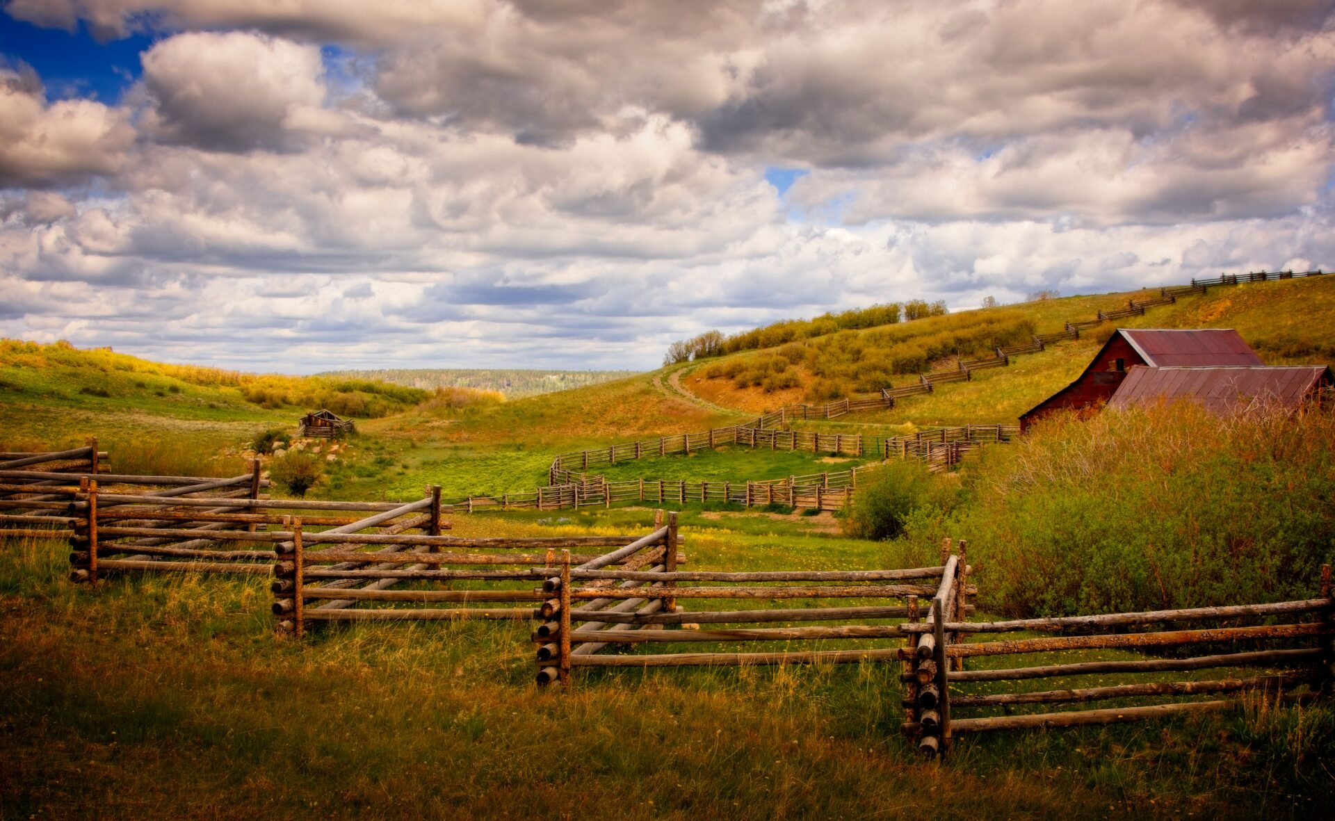 True Grit Ranch
