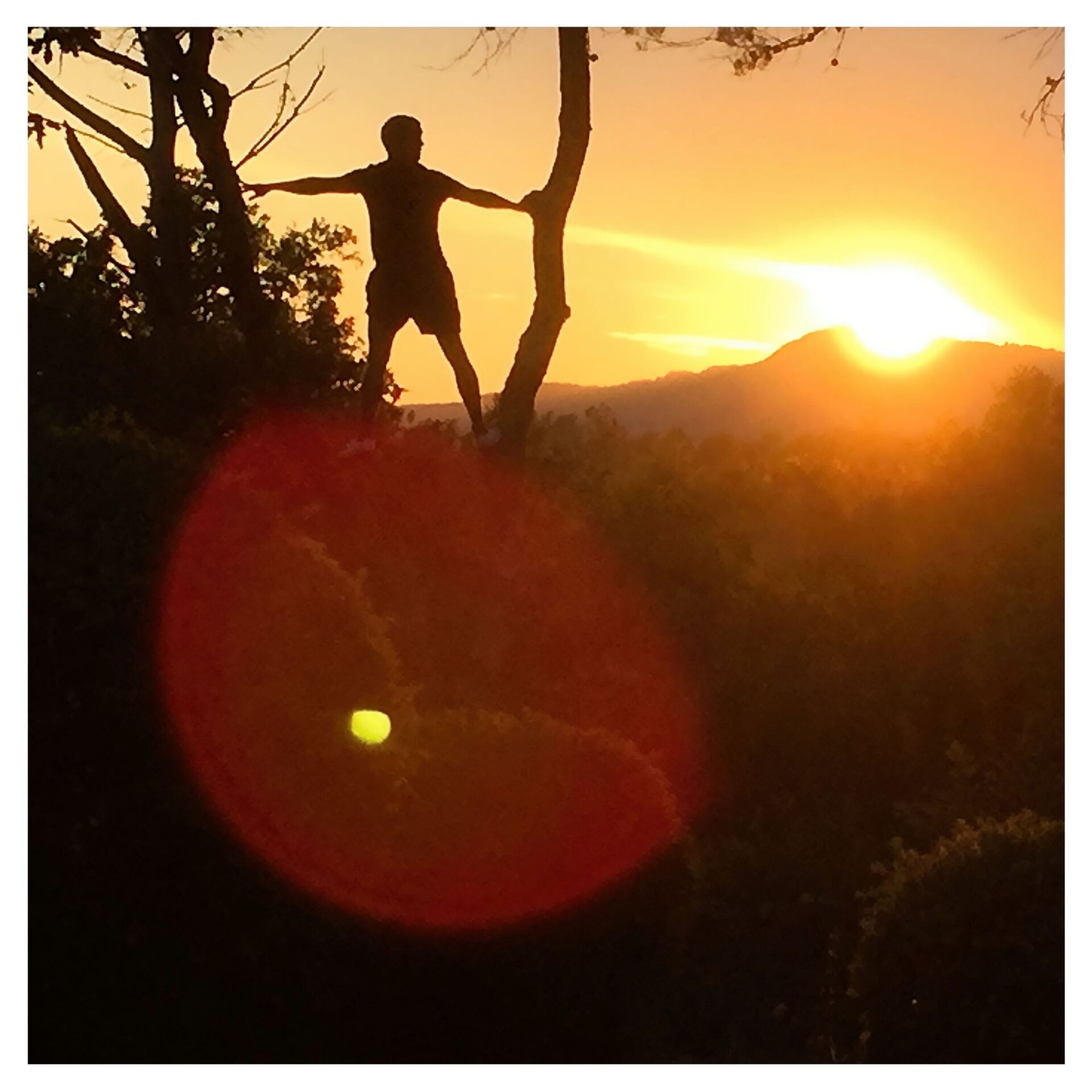 sunset provence