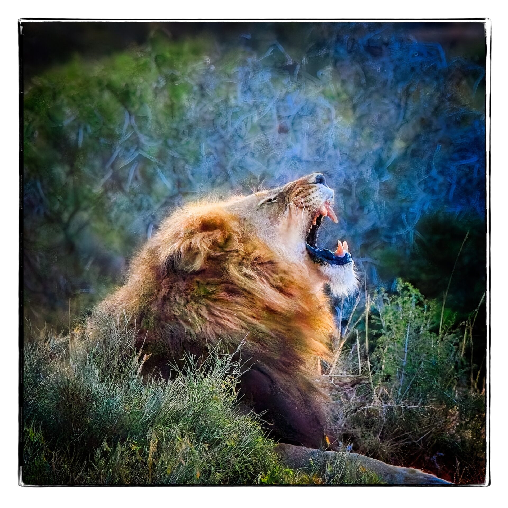 Yawn – Great Supper, Time for Bed