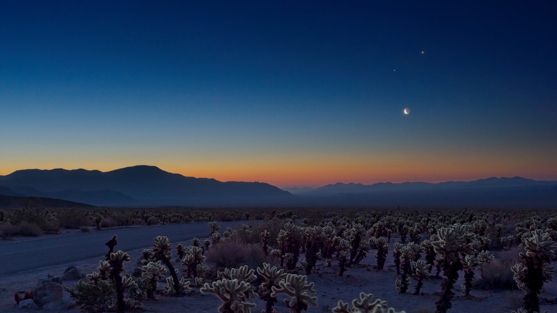 Dawn over Pinto Basin