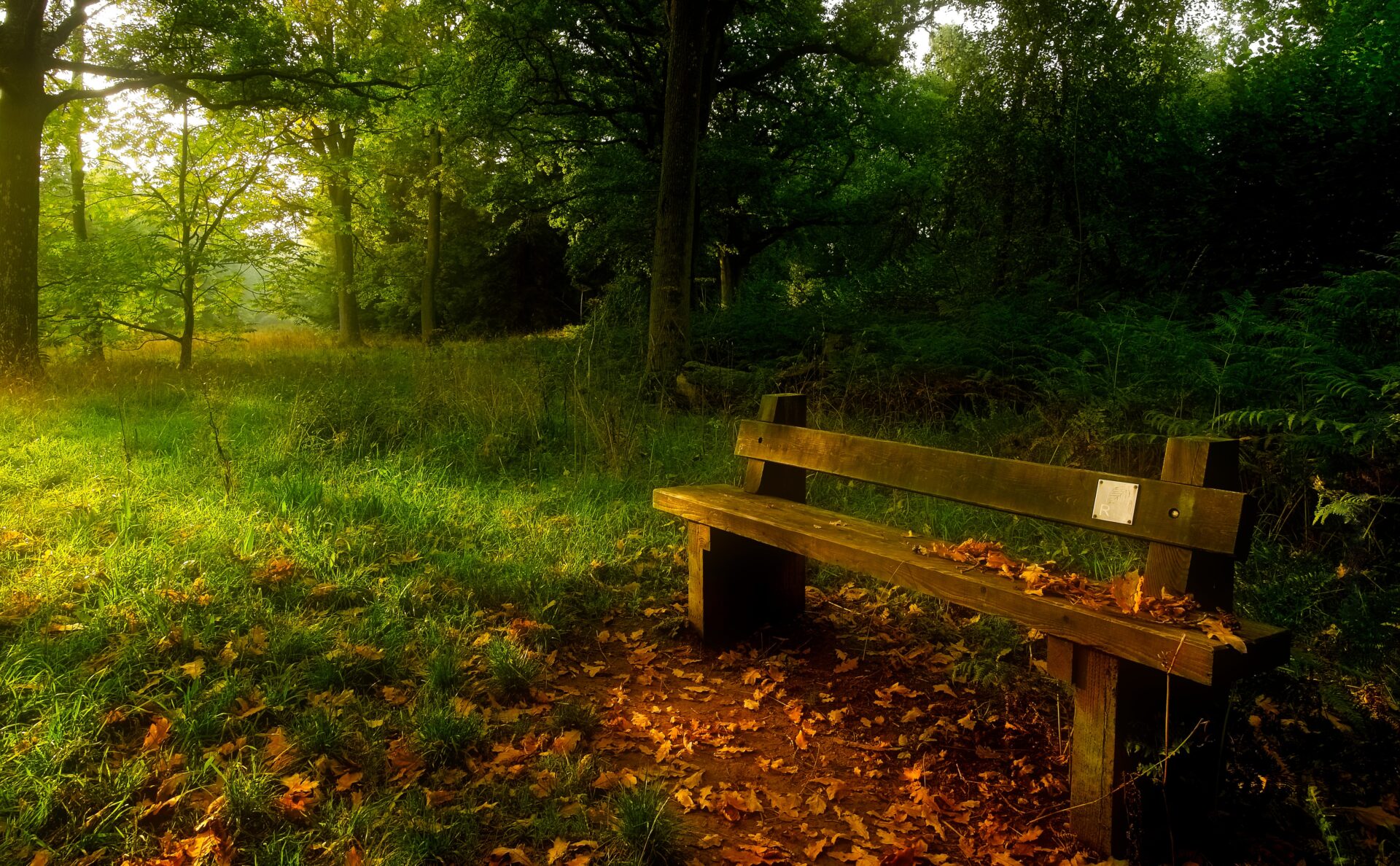 Autumn Rest