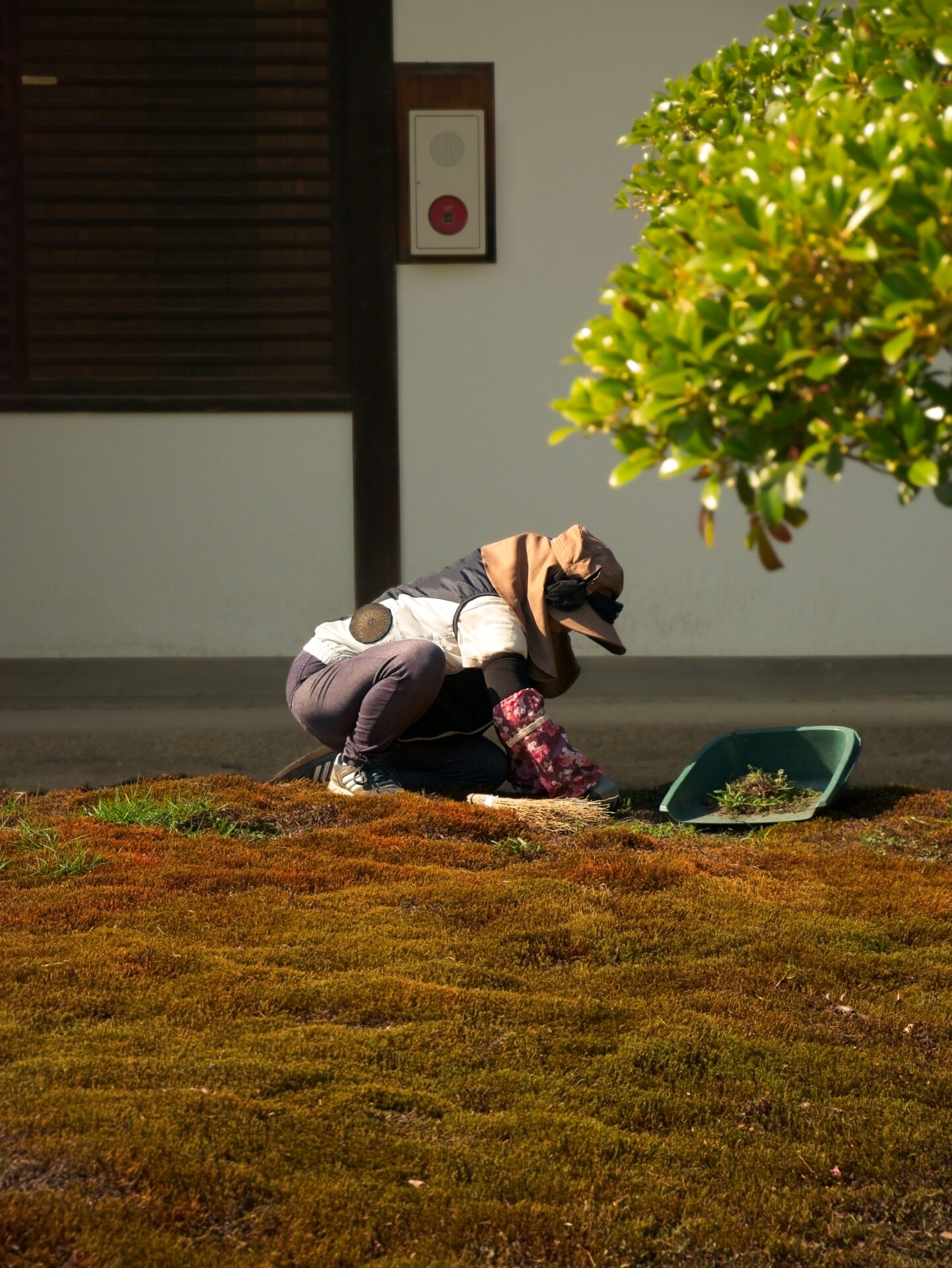 The silence of care