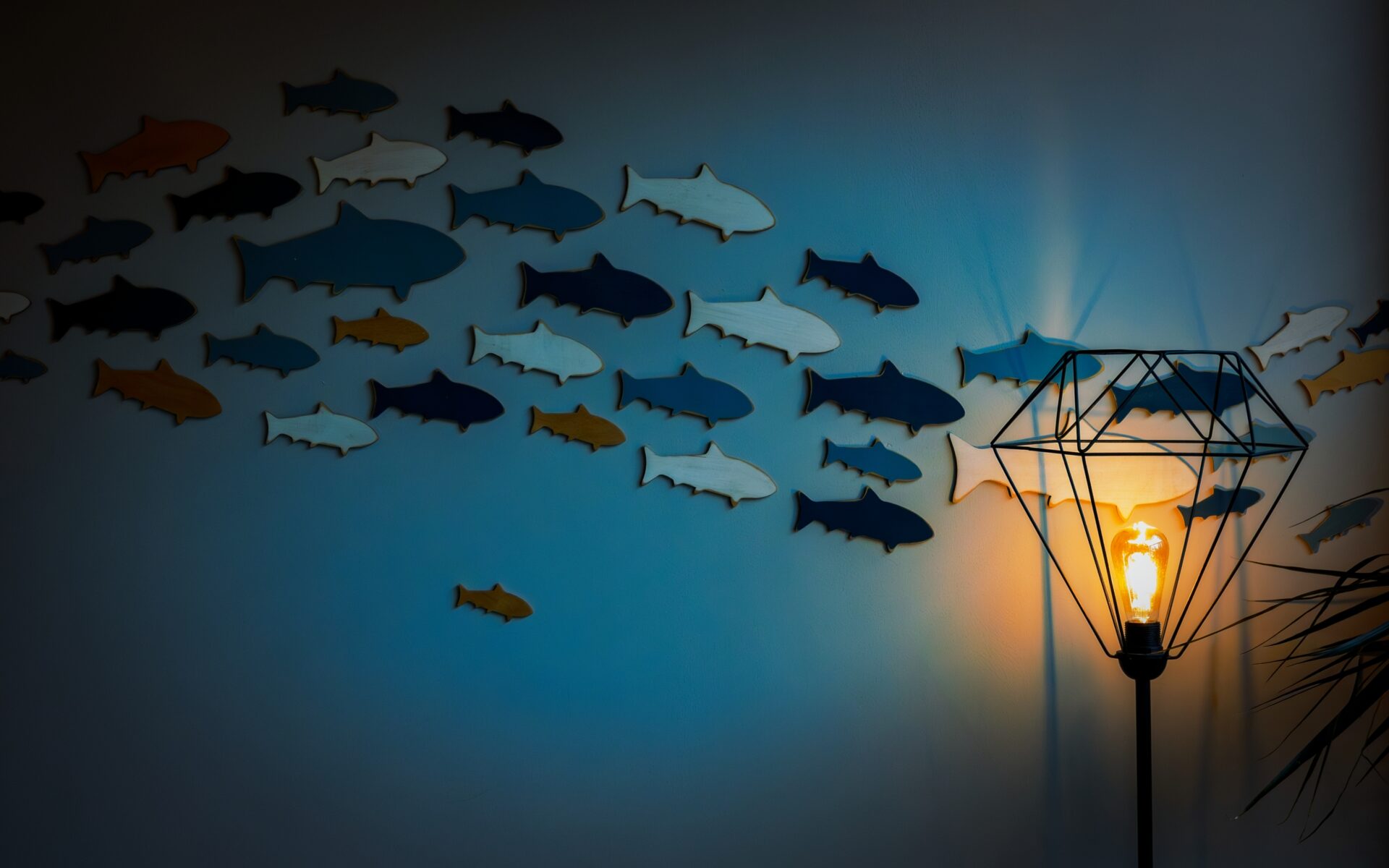 To the light