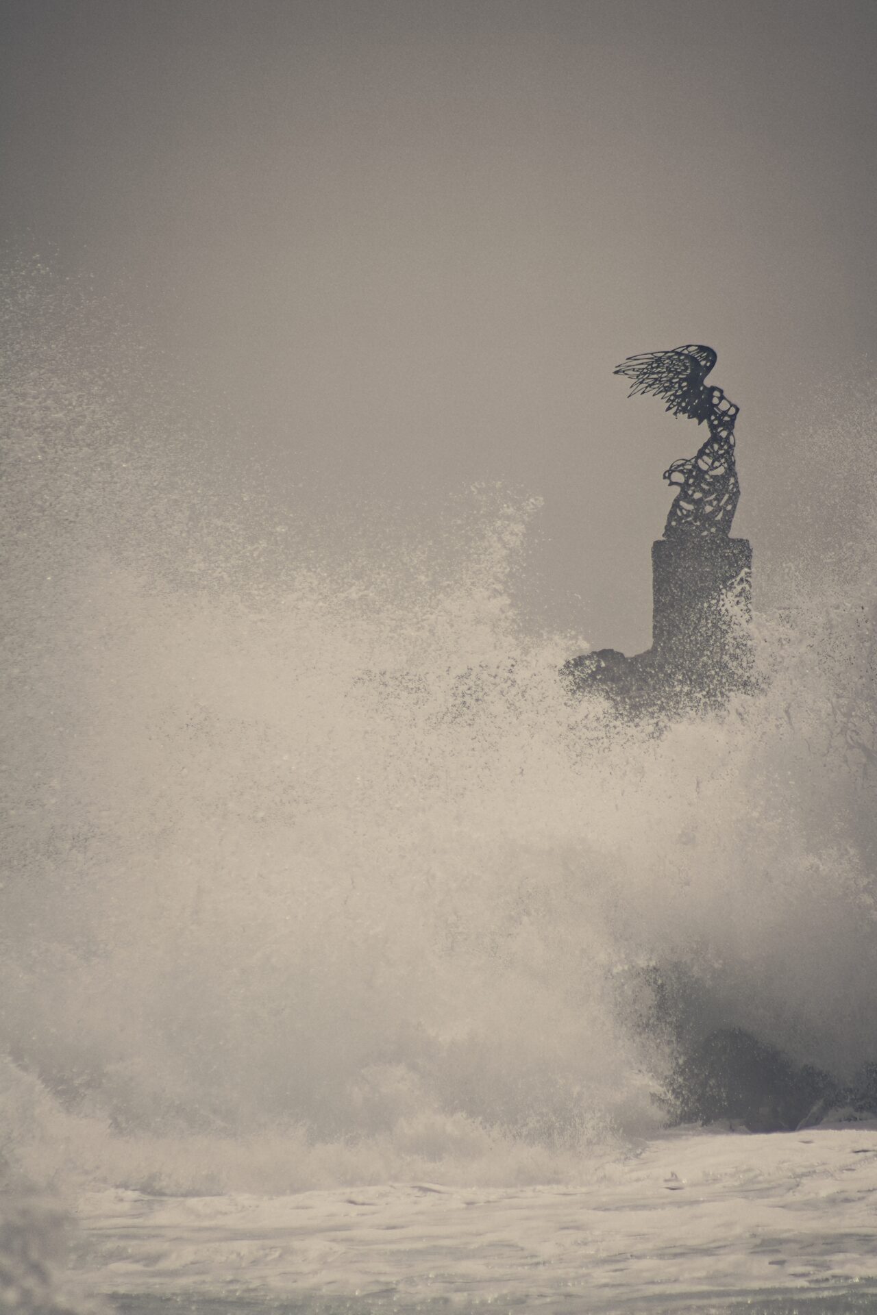 Nike conquers the sea