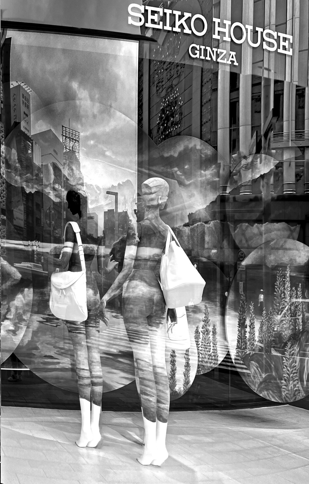 GINZA WACO WINDOW