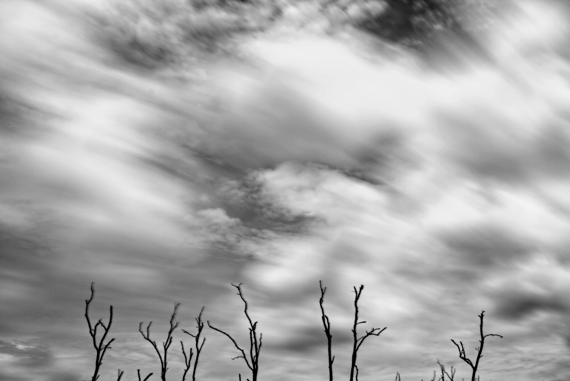 Movement