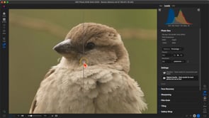 Using Resize AI