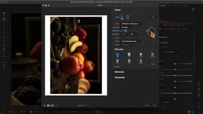 Using Print