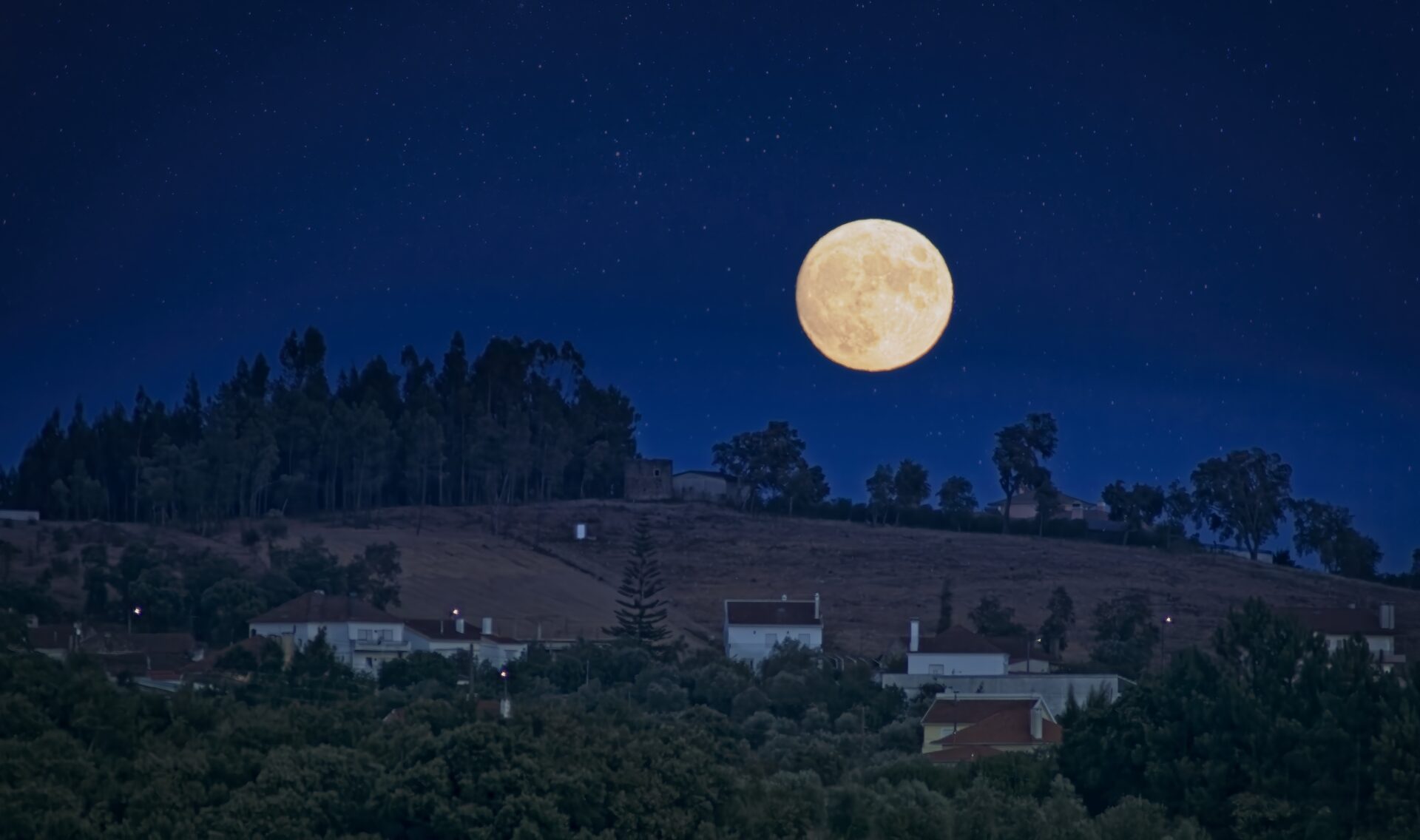 Moon Rise