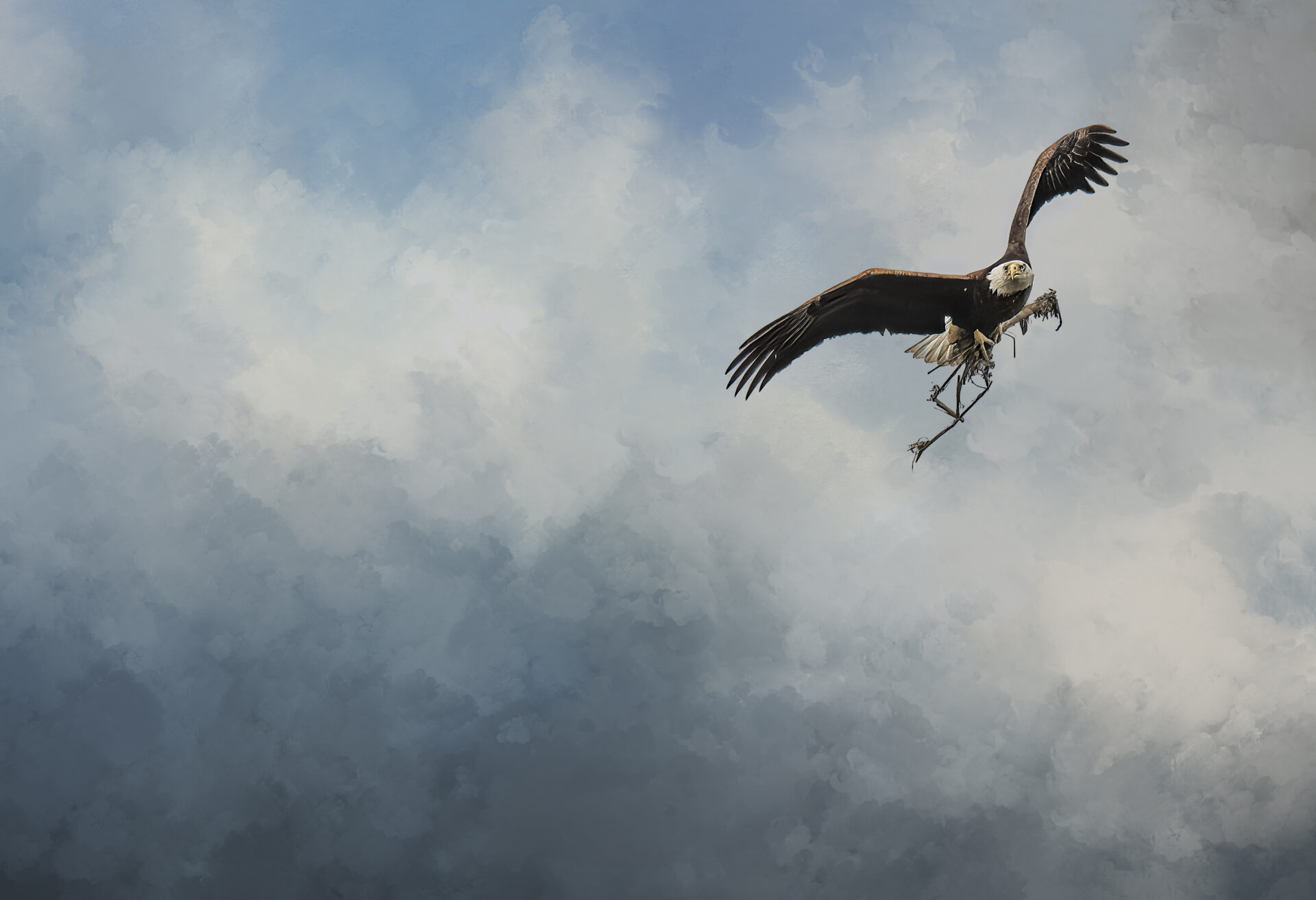 Nesting Season
