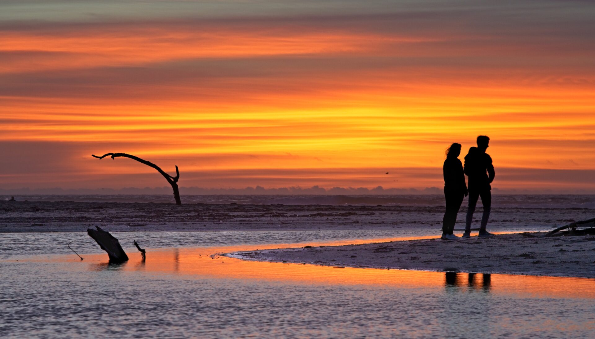 Silhouettes on the shore
