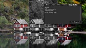 Stop Duplicating Files: Snapshots & Versions Export Every Style