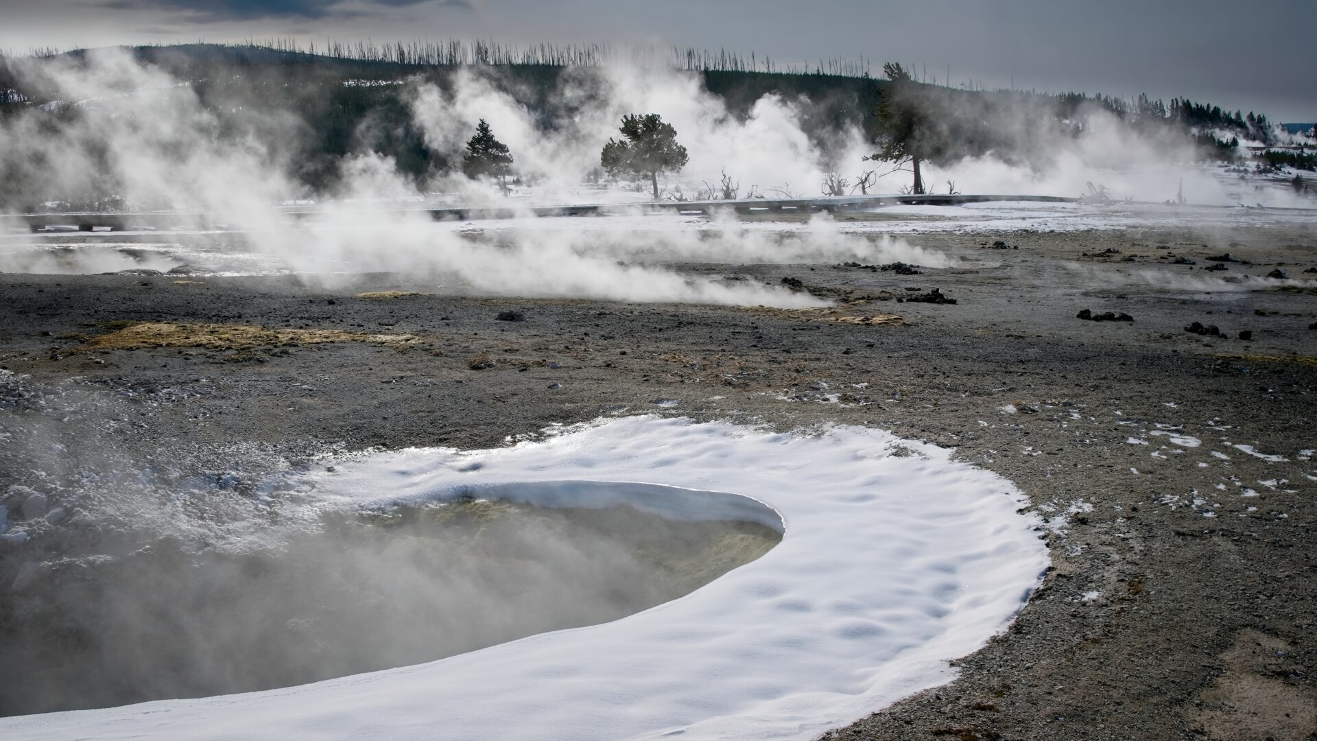 Yellowstone in Winter