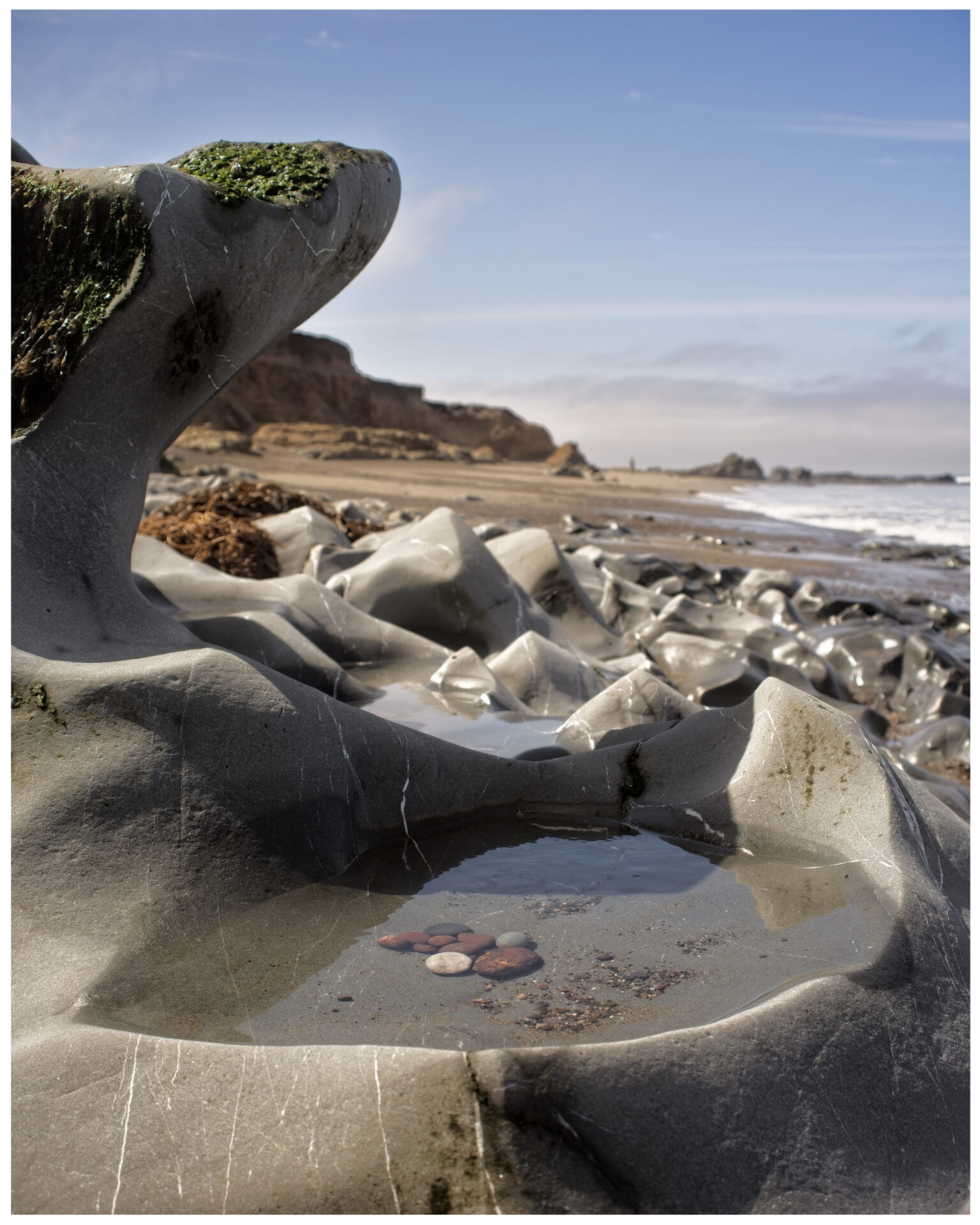 Tide Pool, San Simeon, California