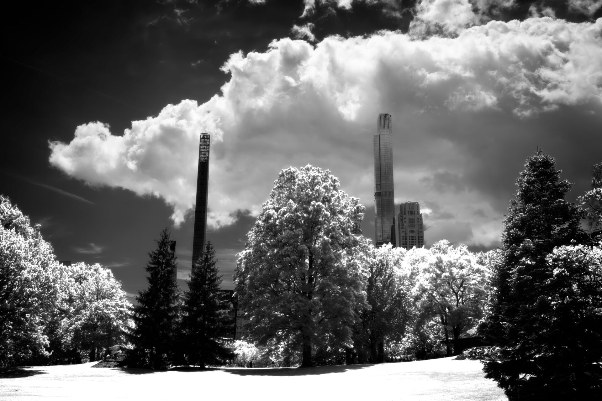 Central Park in Infrared