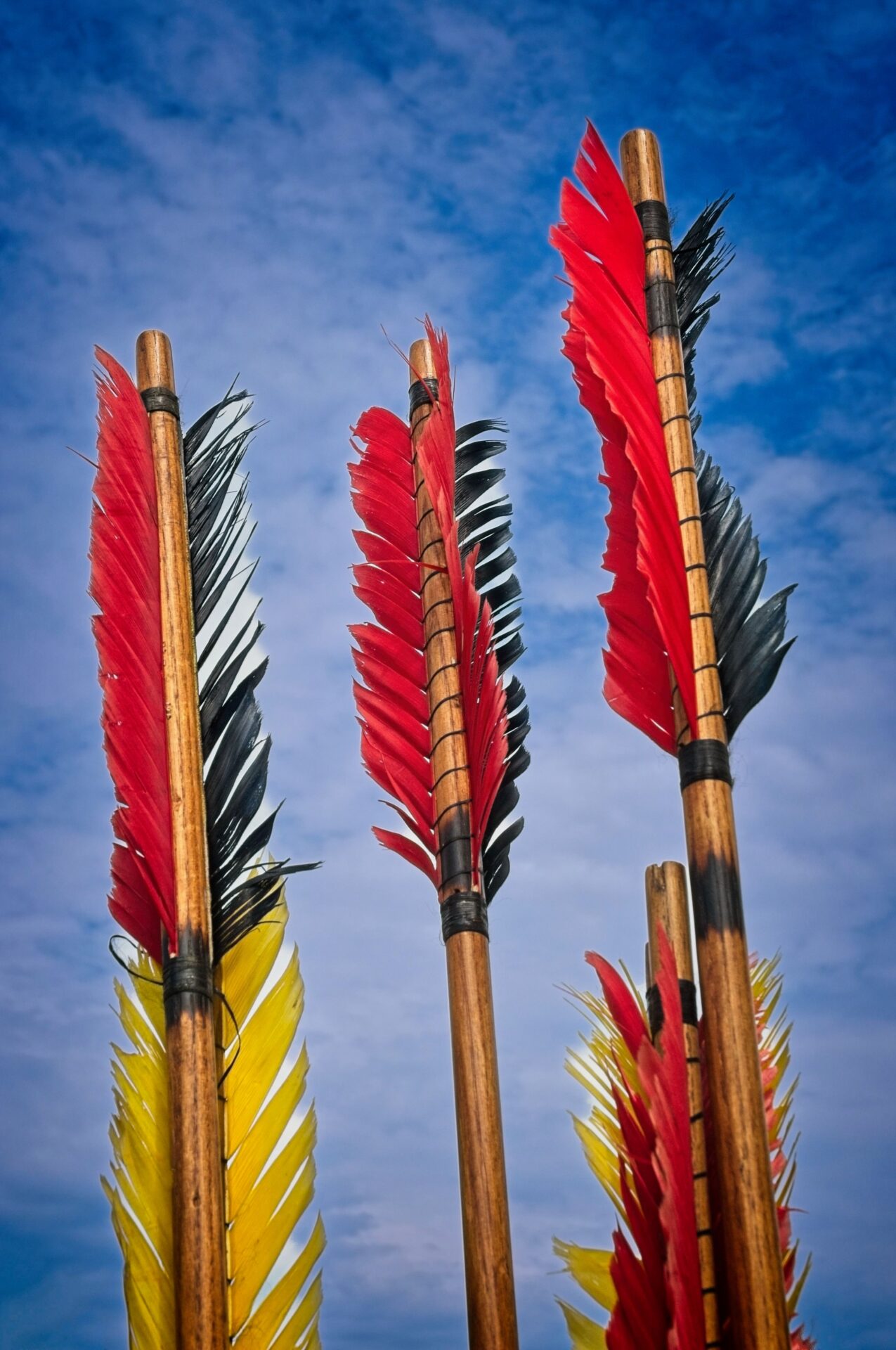 Atlatl Darts