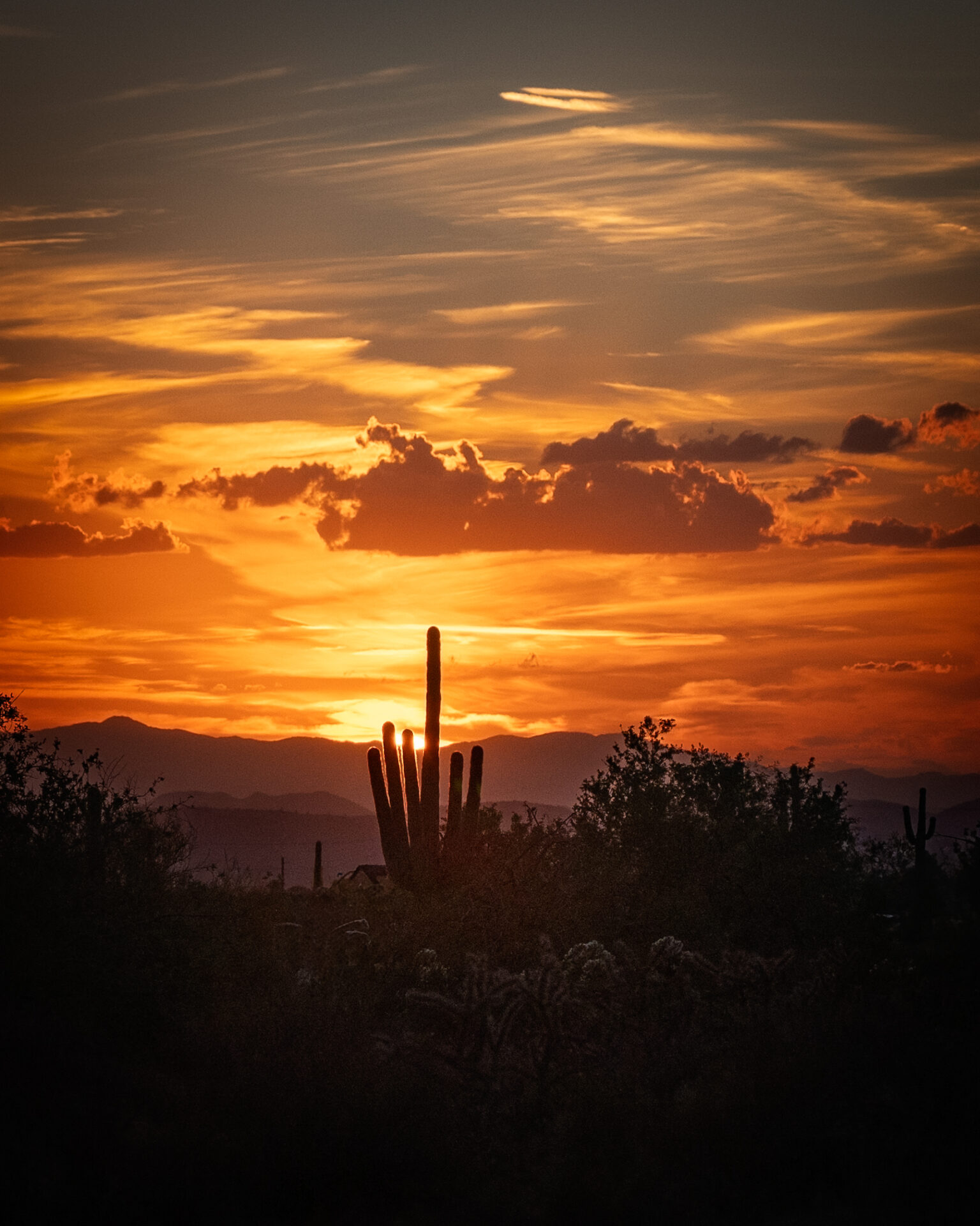 Sonoran Sunset