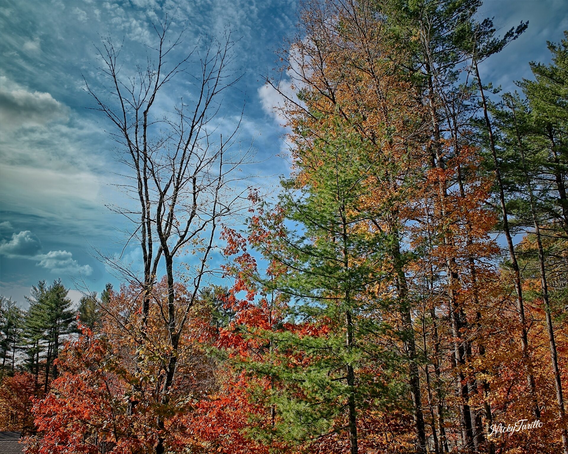 Fall Day In Center Barnstead NH