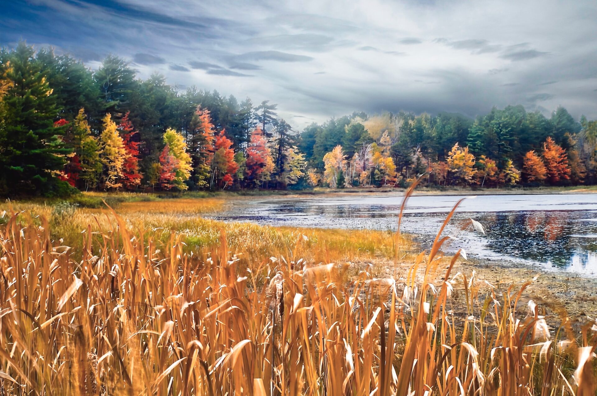 Fall Scene in Michigan