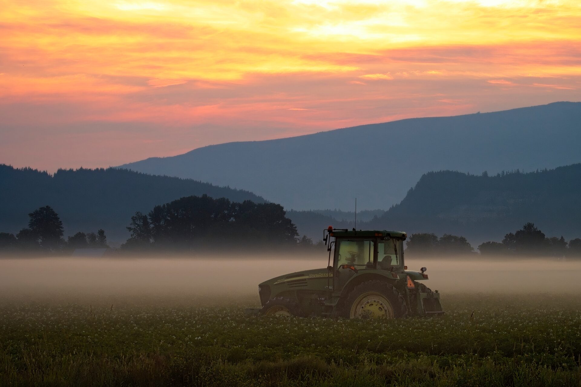 Sunrise Over The Skagit Valley Fields