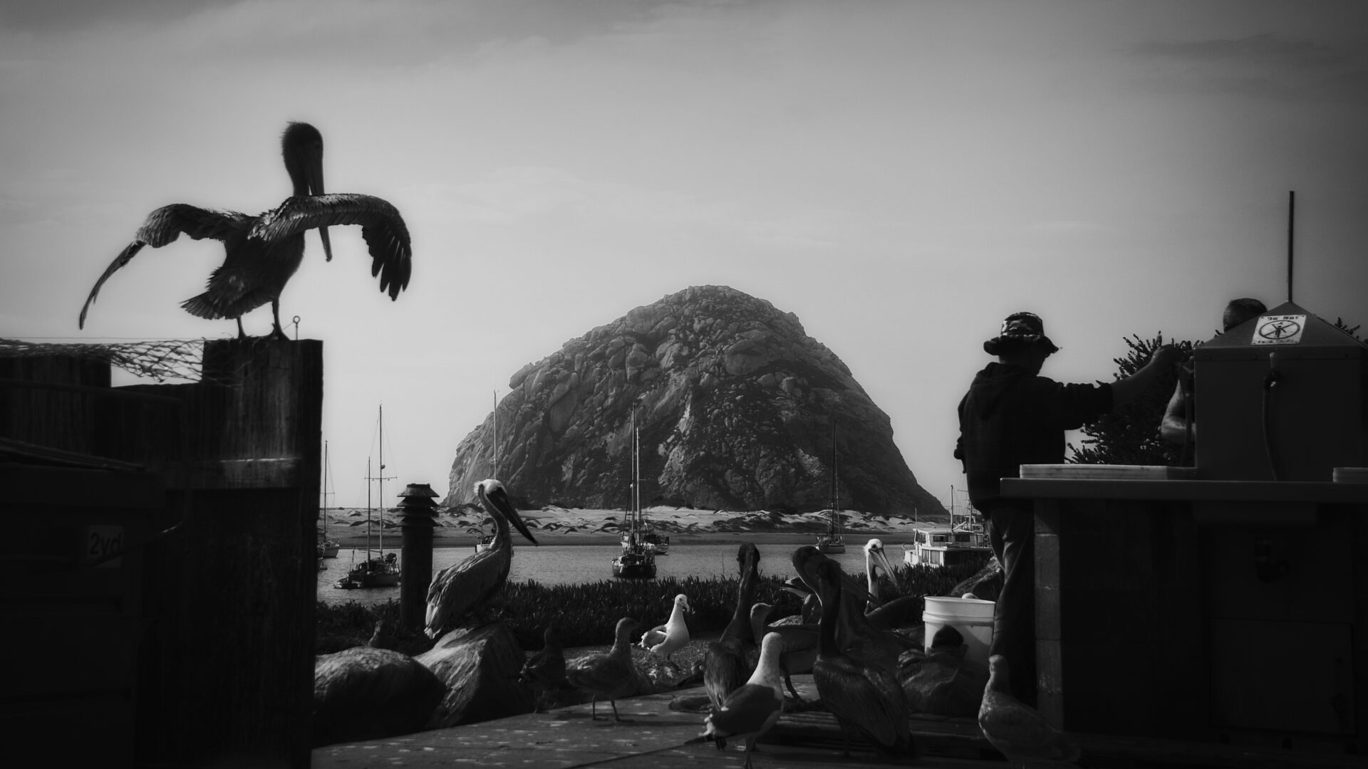Morro Bay, California