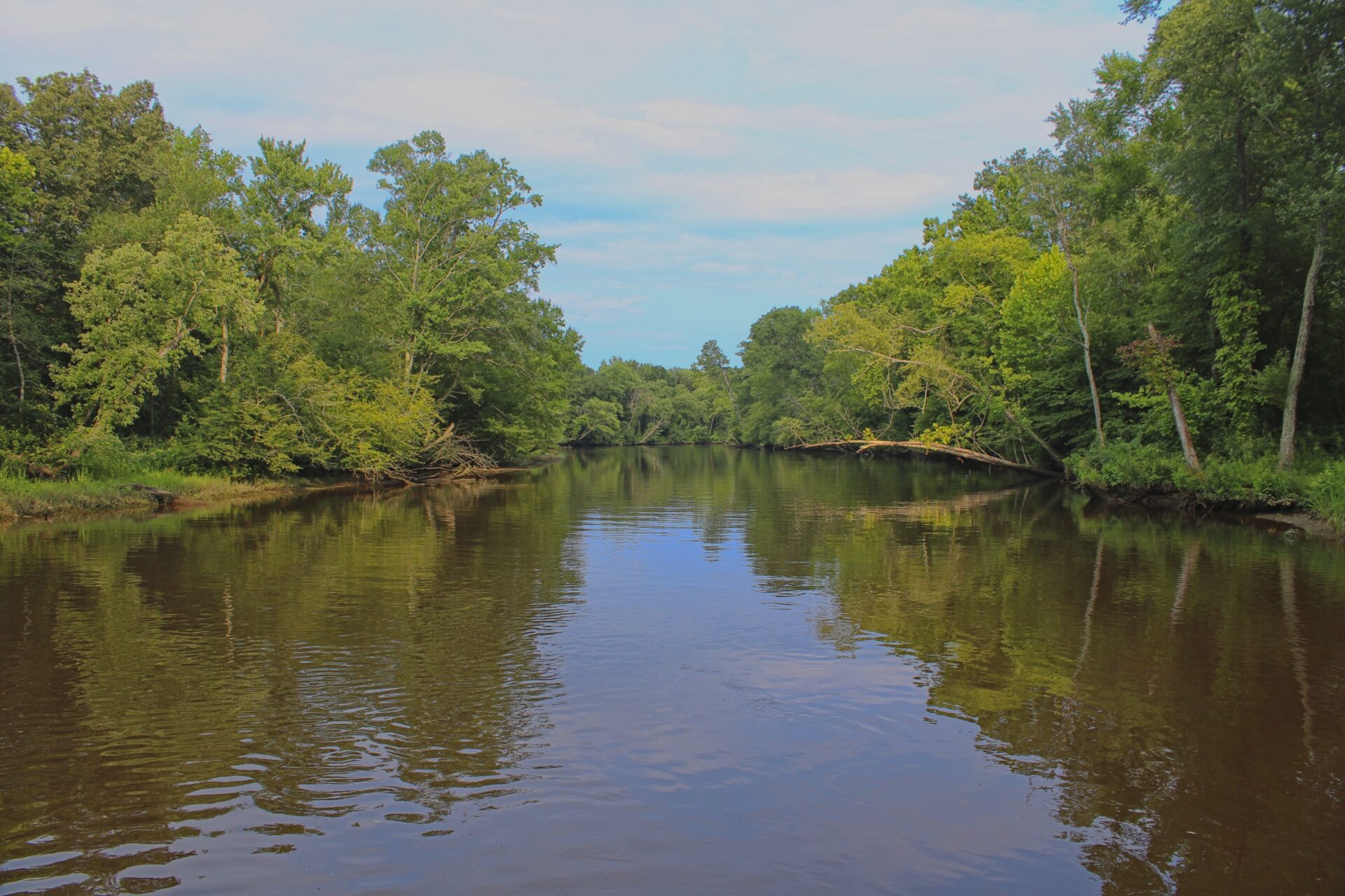 Mattaponi River VA