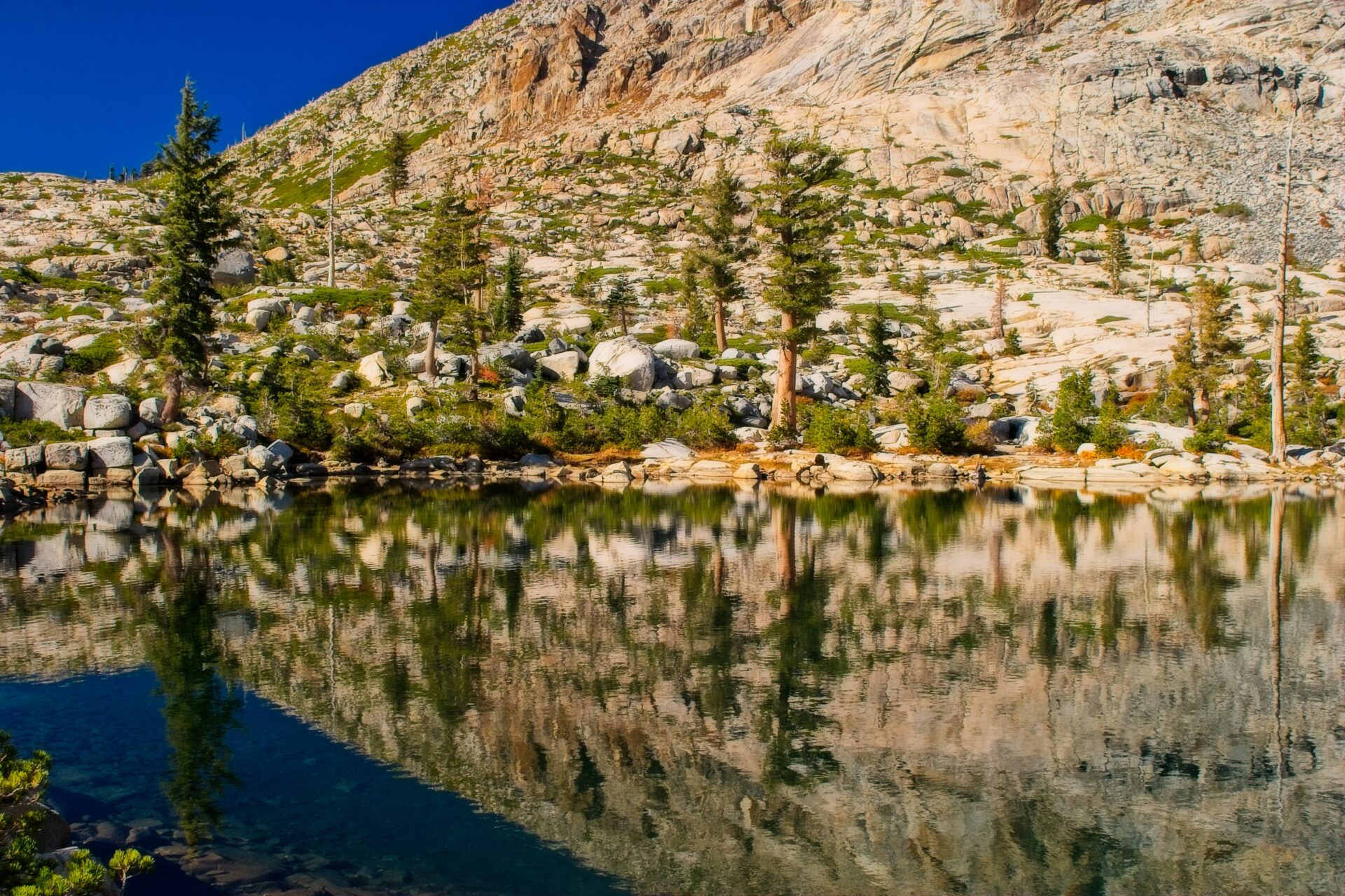 Refections
