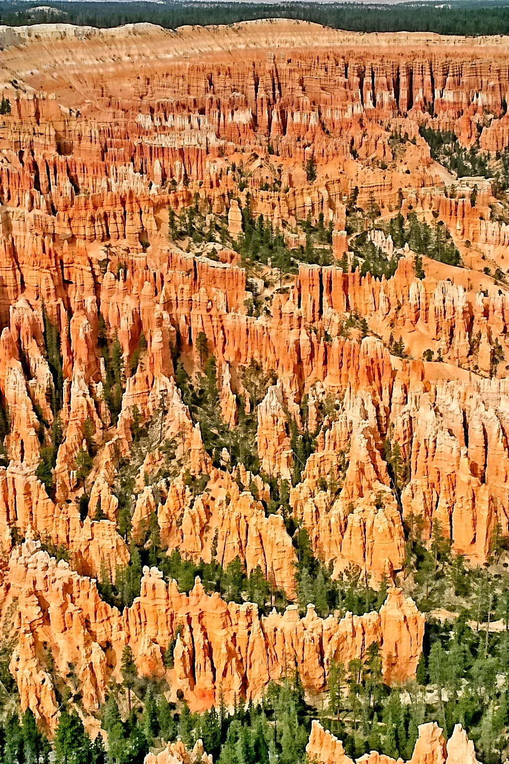 Aerial view of the orange hoodoo rock formations at Bryce Canyon National Park, Utah.