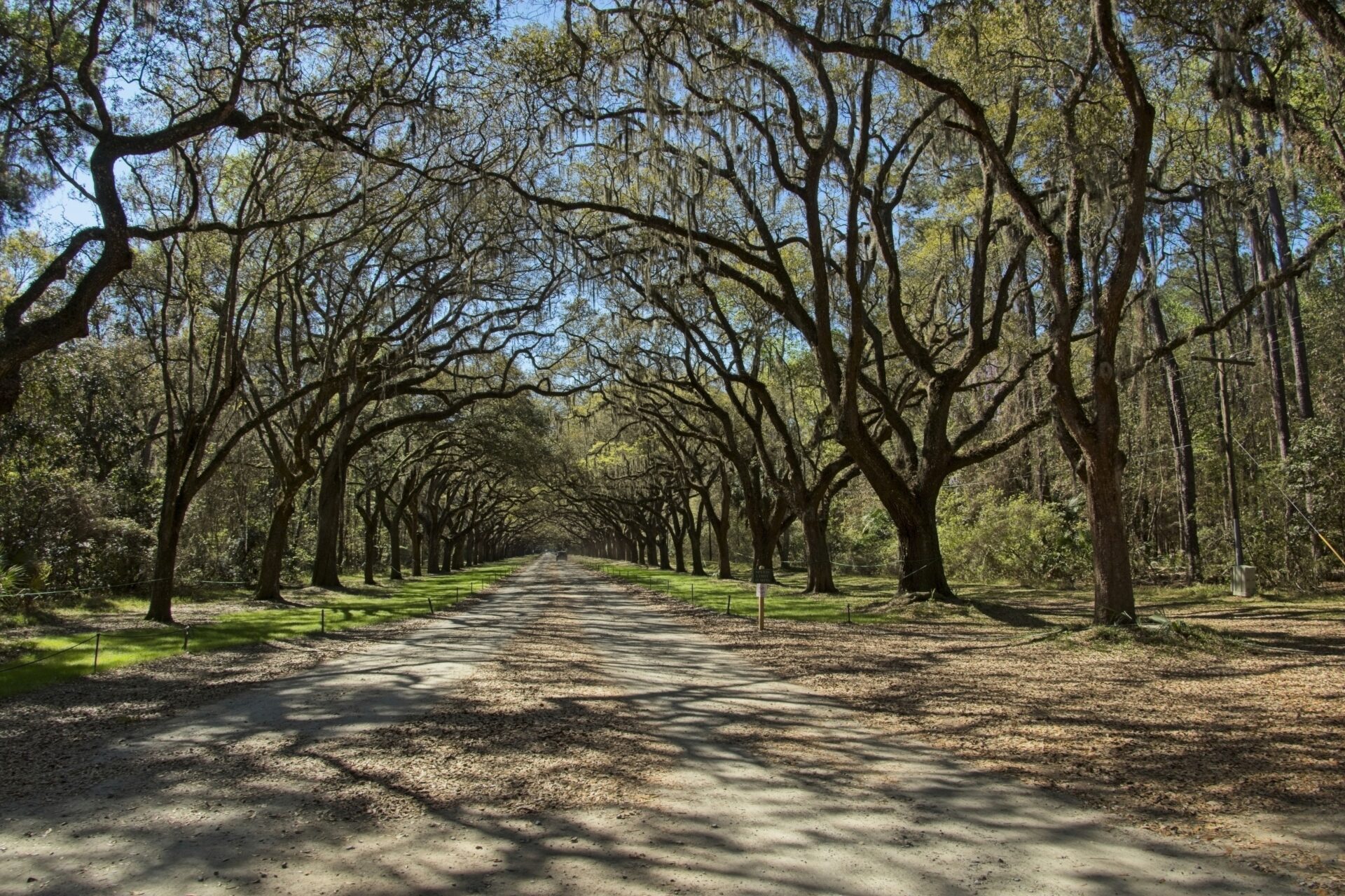 Long Avenue – Georgia