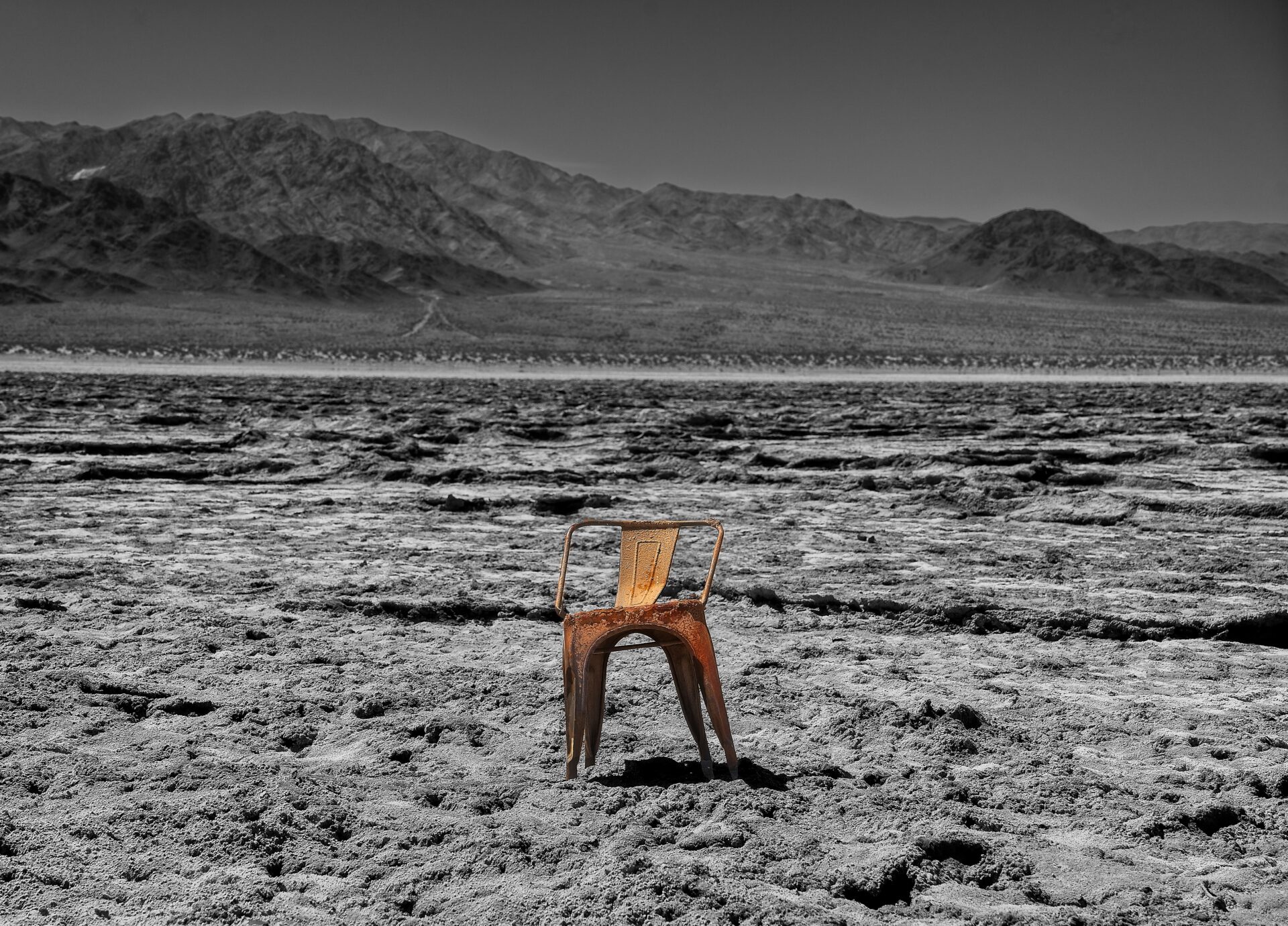 The Last Seat