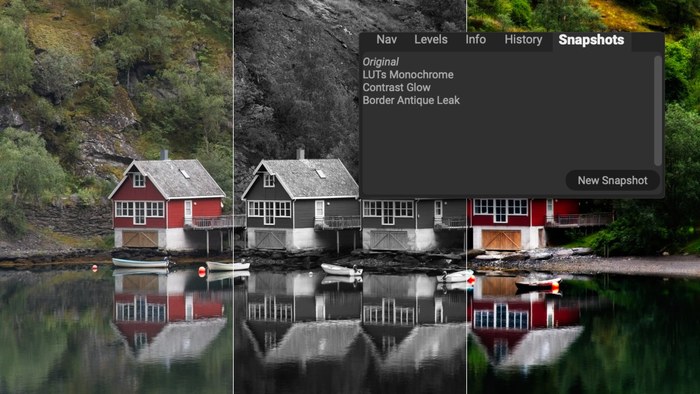 Snapshots and Versions panel exporting multiple photo styles in ON1 Photo RAW 2026