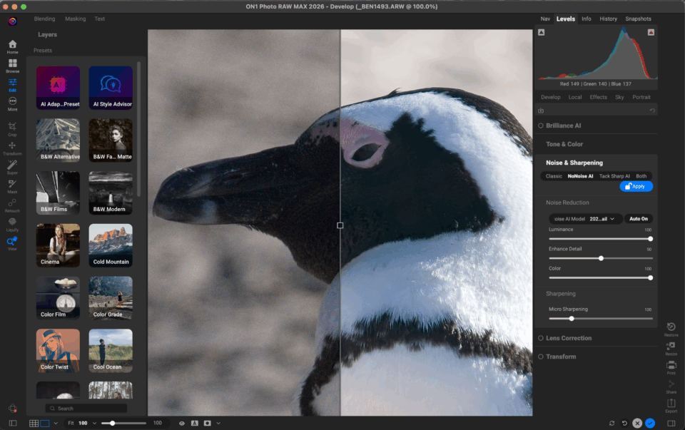 Screenshot of ON1 Photo RAW performing NoNoise AI on an image of a penguin
