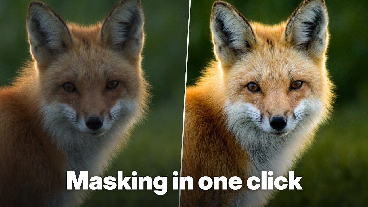 Relight Any Photo With AI Masking: Subject & Background Editing