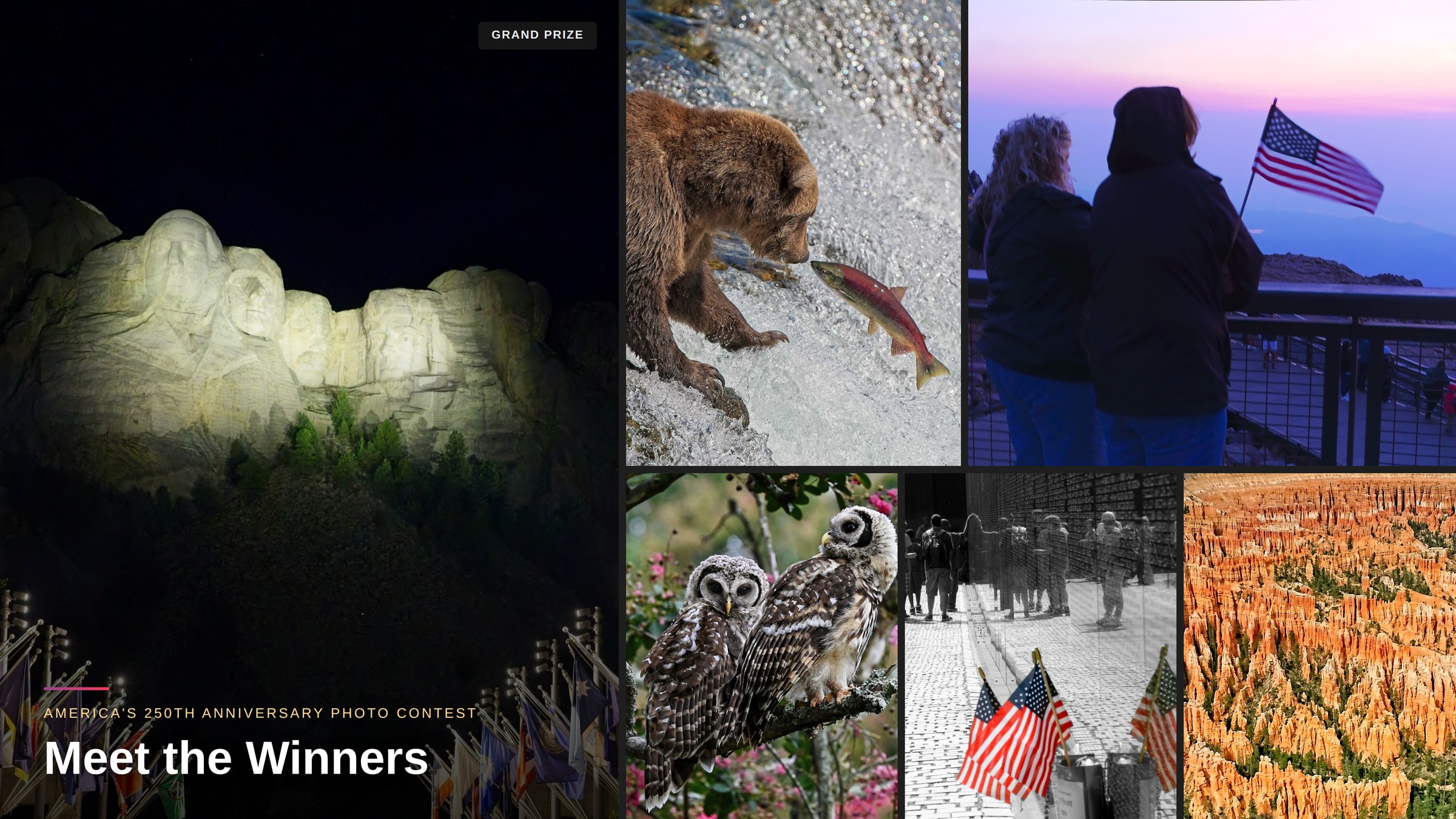 Collage of six winning entries from ON1's America's 250th Anniversary Photo Contest: Mount Rushmore lit at night, a grizzly bear catching a leaping salmon in Alaska, two people watching a Pikes Peak sunrise with an American flag, two barred owlets on a branch, American flags at the Vietnam Veterans Memorial, and the orange hoodoos of Bryce Canyon.