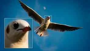 Enlarge Your Photos Without Losing Detail
