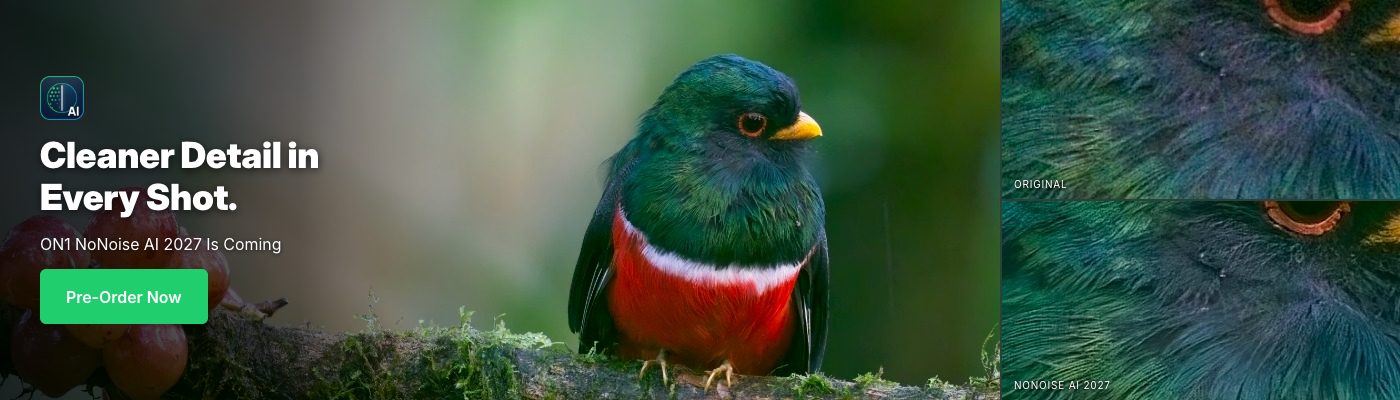 ON1 NoNoise AI 2027 noise reduction software - wildlife photography example