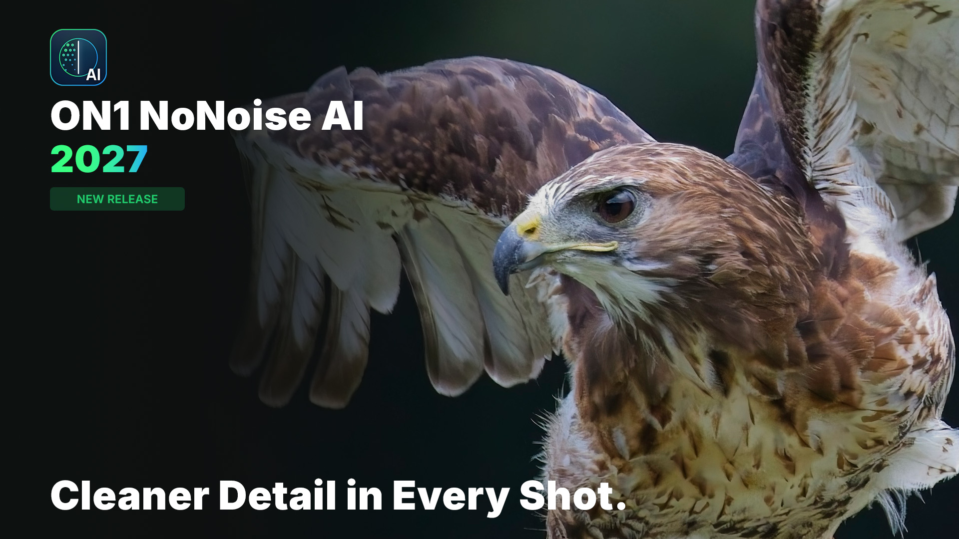 ON1 NoNoise AI 2027 blog hero graphic featuring a red-tailed hawk in flight