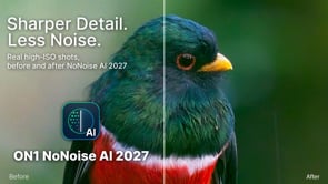 Stop Losing Detail to Noise: ON1 NoNoise AI 2027, First Look