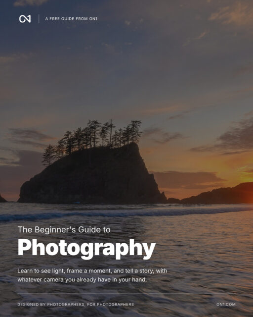 The Beginner’s Guide to Photography