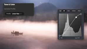 Instant Punch with Linear RAW and Curves