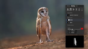 Masking Made Easy – Recorded Webinar