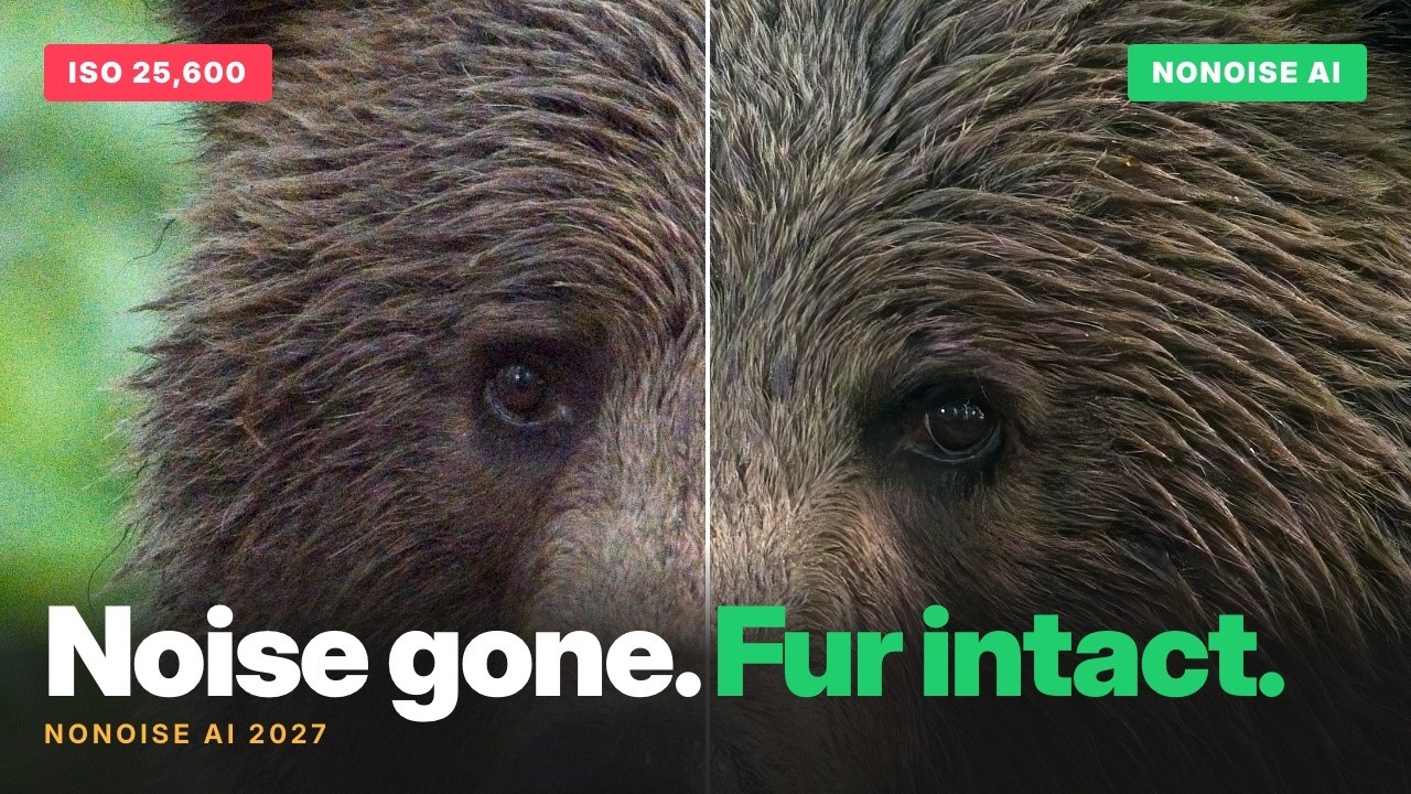 Remove Noise without Losing Detail: NoNoise AI in Photo RAW 2027