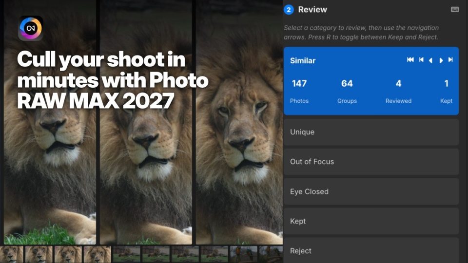 Culling Assistant Review tab in ON1 Photo RAW MAX 2027 grouping a burst of similar lion photos