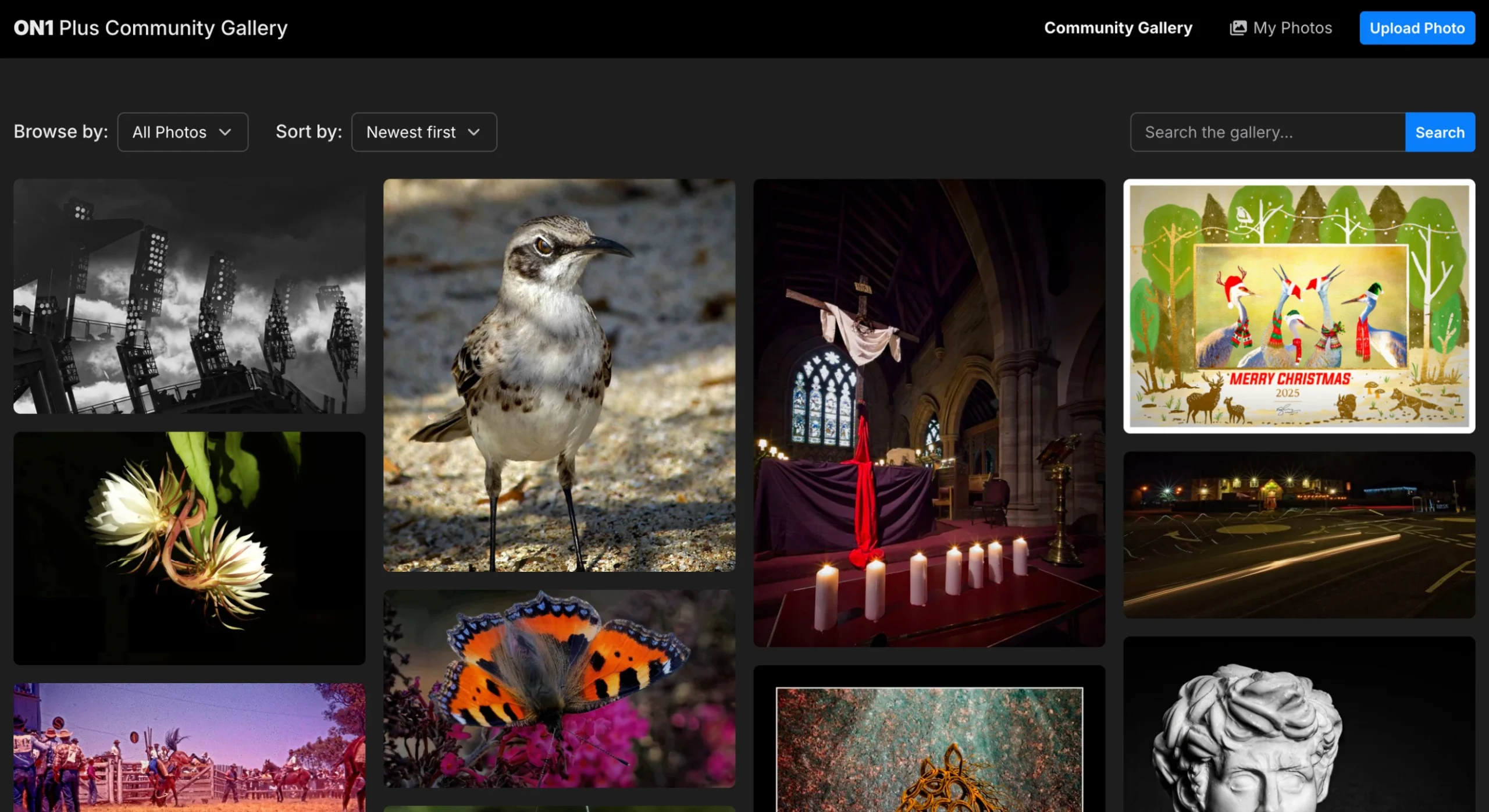 ON1 Plus Community Gallery masonry grid with browse, sort and search