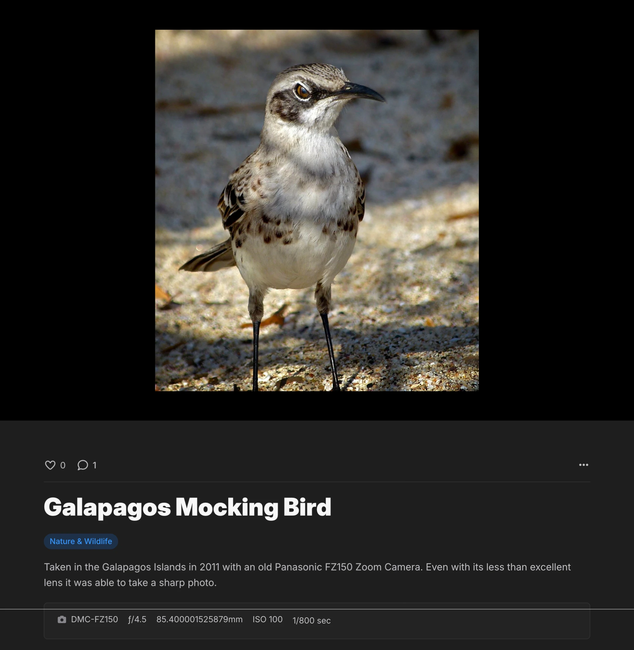Community Gallery photo page with description, category and camera settings
