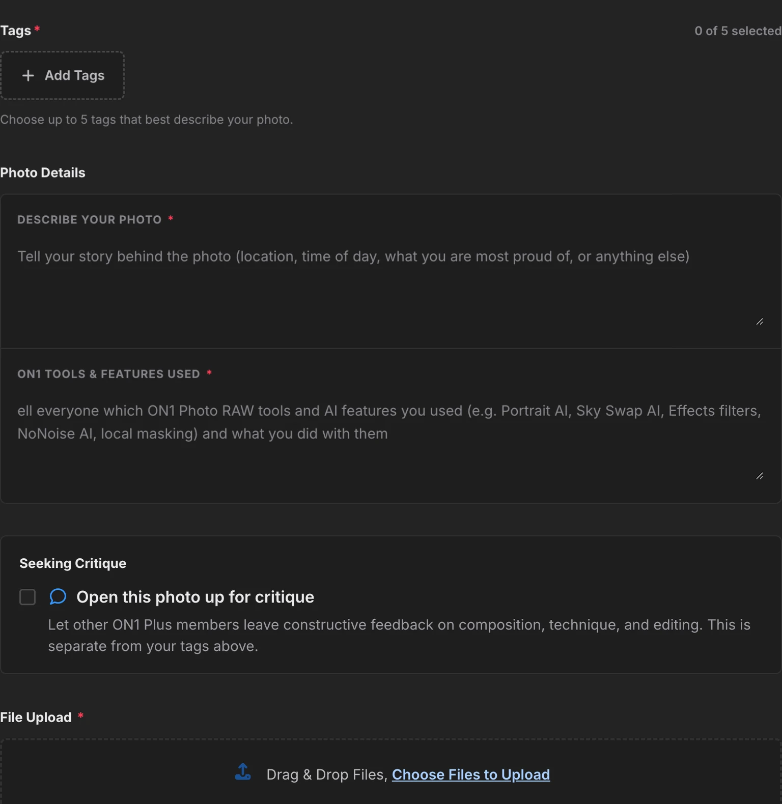 Gallery upload form with Photo Details and the Open this photo up for critique option