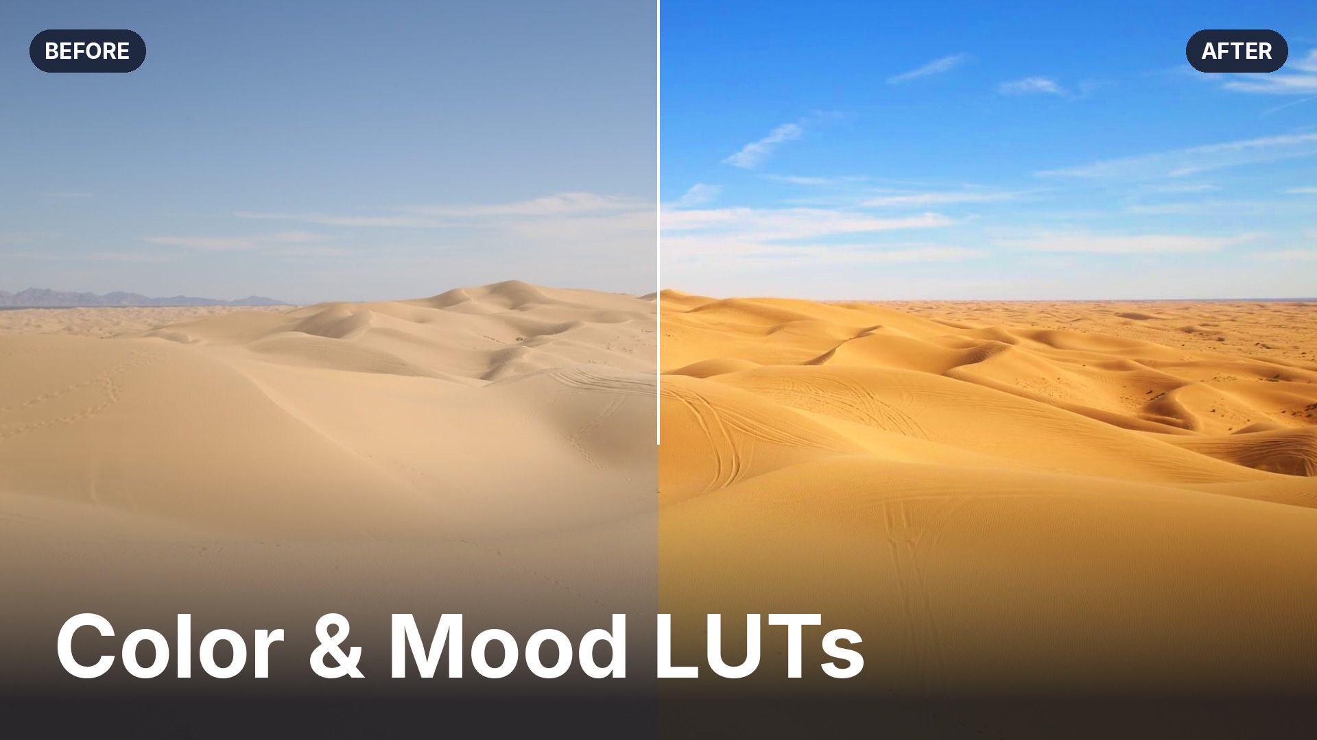 Ten Free Color & Mood LUTs for the Looks You See Everywhere