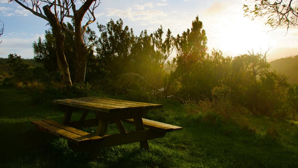 Picnic table in a grassy clearing under a pale evening sun, before the Golden Hour LUT